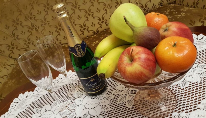 Pension Napoleon Karlovy Vary